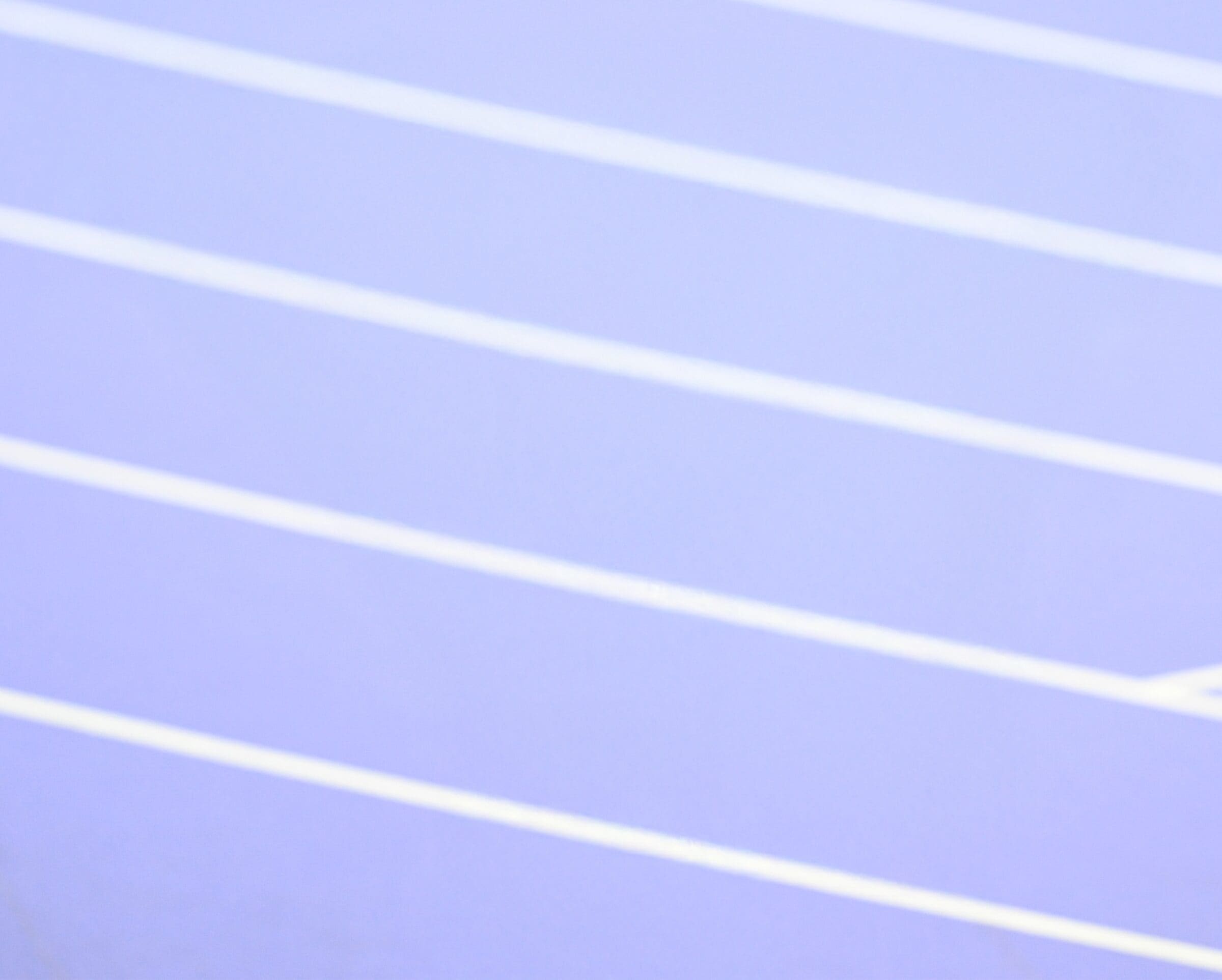 Martina Caironi con il tricolore sulla pista viola dello Stade de France, Paralimpiadi di Parigi 2024